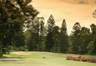 Jagorawi Golf & Country Club - Green